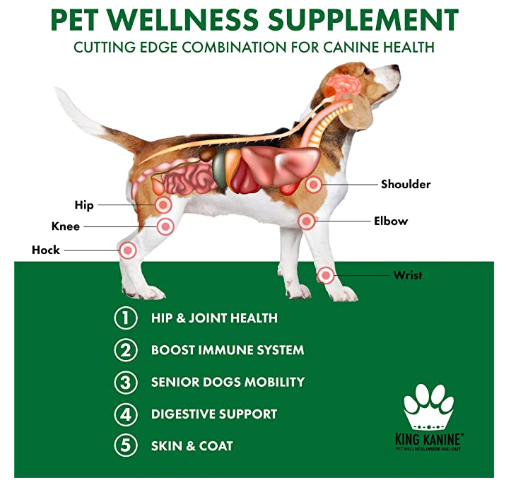 Green Immune Plus+ Super Food Multivitamins & Minerals