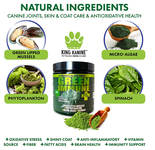 Green Immune Plus+ Super Food Multivitamins & Minerals