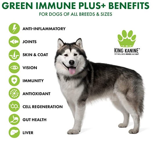 Green Immune Plus+ Super Food Multivitamins & Minerals