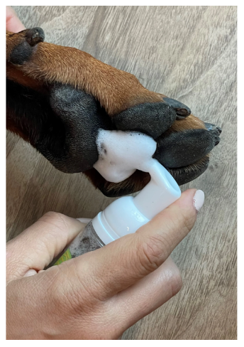 Klean Paws Dog Paw Cleaner