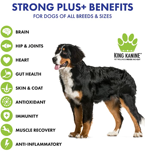 Strong Plus + Probiotic, Protein, & Joints - for Dogs & Cats