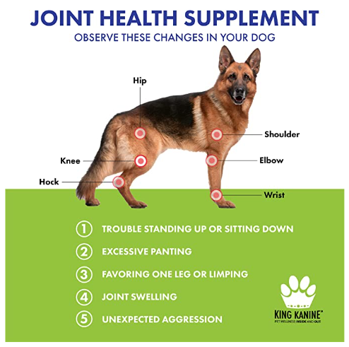 Strong Plus + Probiotic, Protein, & Joints - for Dogs & Cats